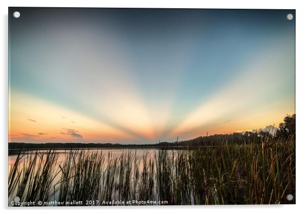 Anti Crepuscular Rays Sunrise Over Lake Dixie Flor Acrylic by matthew  mallett