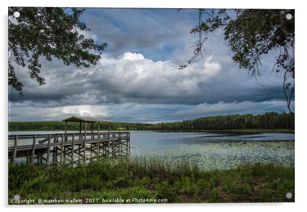 Hammond Lake at Lake Louisa Florida Acrylic by matthew  mallett