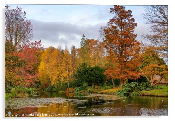 Thorpe Le Soken Autumn Colour Acrylic by matthew  mallett