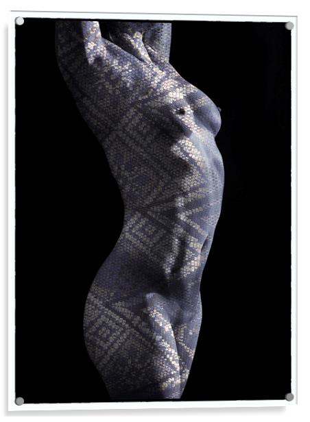  Patterned nude torso  Acrylic by Inca Kala