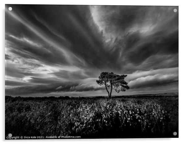 Egton Lonely Tree Under A Dramatic Sky Acrylic by Inca Kala