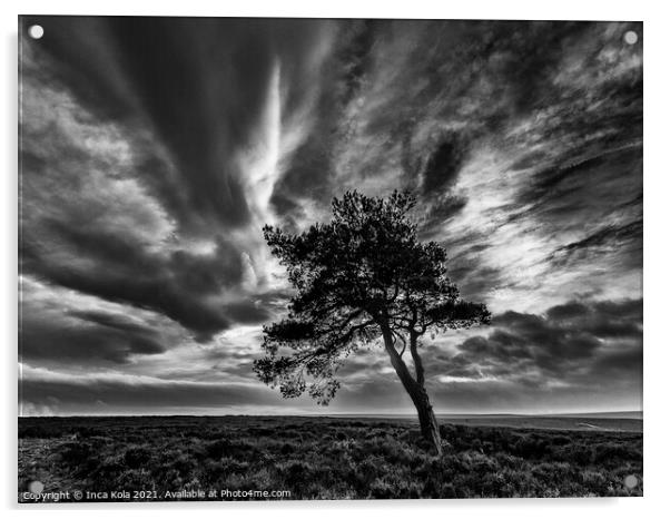 Egton's Lonely Tree Under A Dramatic Sky Acrylic by Inca Kala