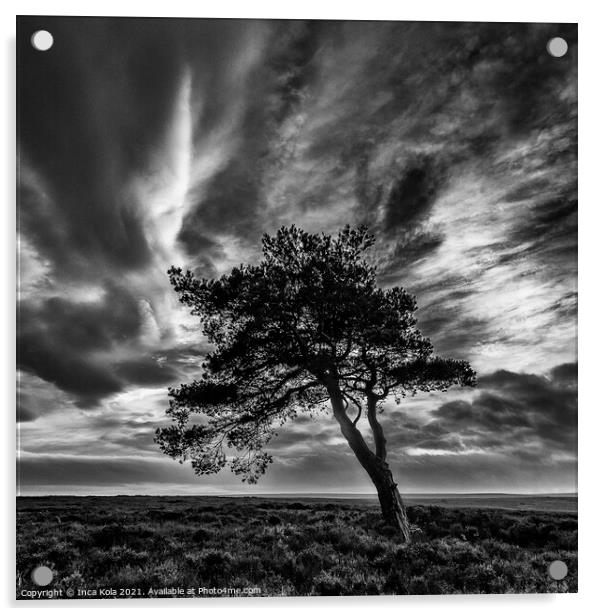 Egton's Lonely Tree Under A Dramatic Sky - Square Series 1 Acrylic by Inca Kala