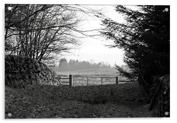 Old Stone Wall and Gate BW Scotland Acrylic by James Taylor