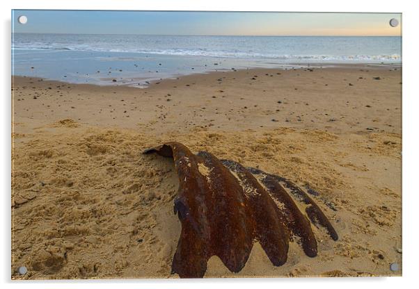 Hemsby Beach Scrap Metal Acrylic by James Taylor