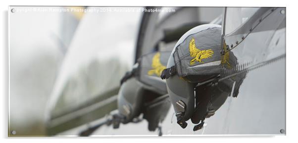  Eagle Squadron Acrylic by Alan Rampton Photography