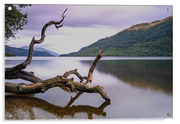 Loch Lomond Acrylic by Jason Moss