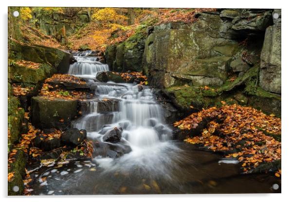 Lumsdale in Autumn Acrylic by Jason Moss