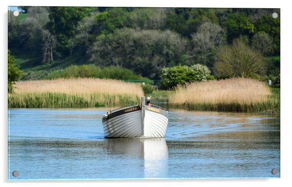 Arundel wetlands boating Acrylic by nick wastie