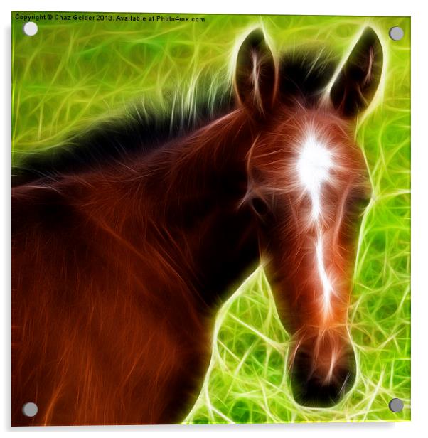 Fractal Foal Acrylic by Chaz Gelder