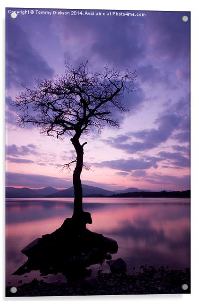 Millarochy Bay Tree, Loch Lomond.  Acrylic by Tommy Dickson