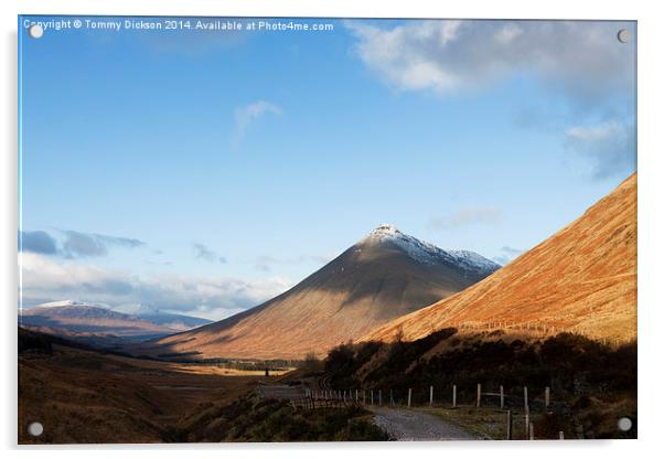 Majestic Beinn Dorain Acrylic by Tommy Dickson