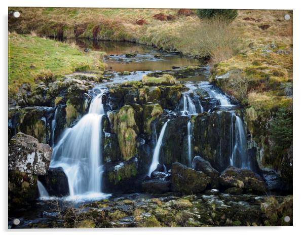 Loup of Fintry Waterfall. Acrylic by Tommy Dickson