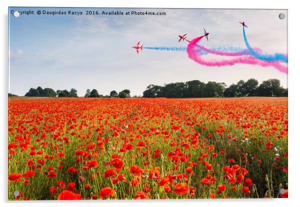 Red Arrows acrobatic flight over poppy field Acrylic by Daugirdas Racys
