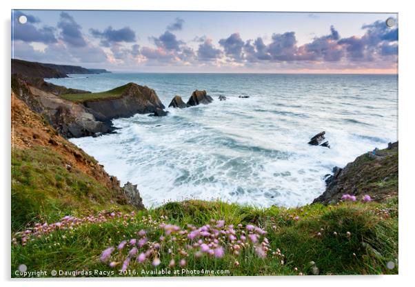 Hartland Quay Sunset Acrylic by Daugirdas Racys