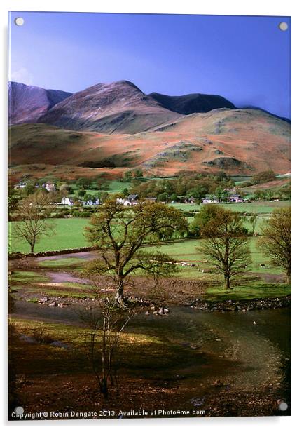 Buttermere & Whiteless Pike Acrylic by Robin Dengate