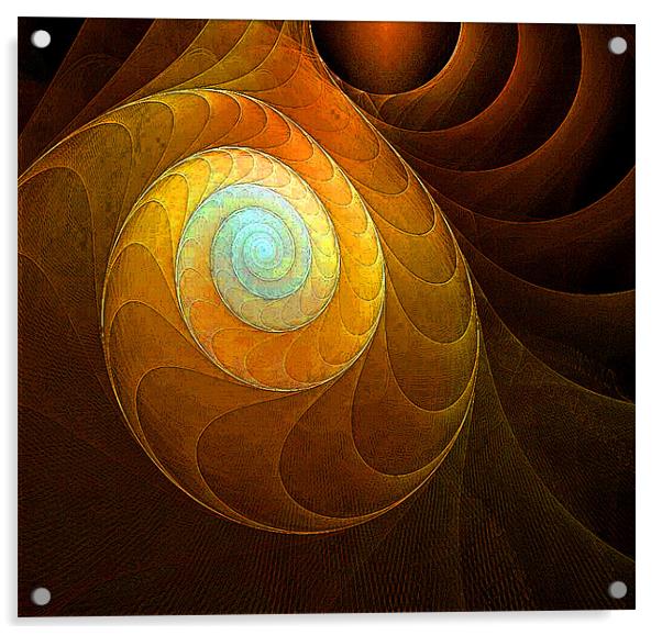 Golden Spiral Acrylic by Amanda Moore