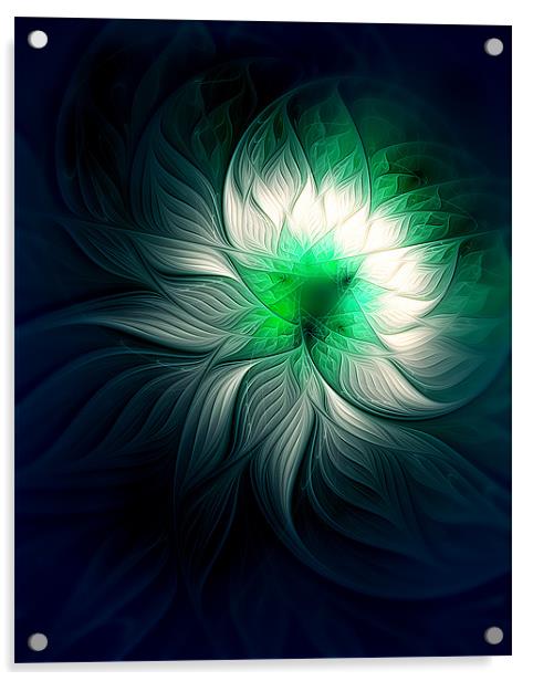 Cornflower Blues Acrylic by Amanda Moore
