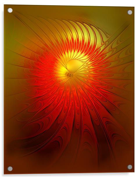 Sunflower Aflame Acrylic by Amanda Moore