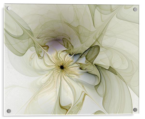 Silk Petals Acrylic by Amanda Moore
