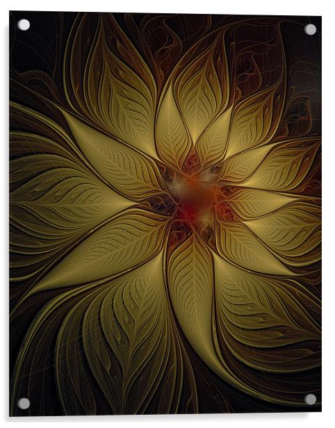 Golden Poinsettia Acrylic by Amanda Moore