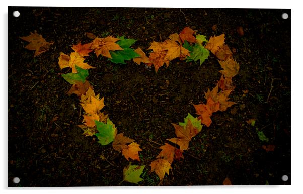  leaf heart Acrylic by Marina Otto