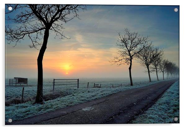 Winter Sunrise Acrylic by Ron Ver