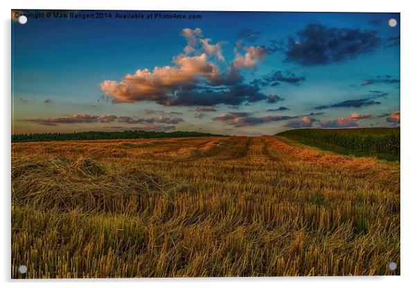 Evening light on stubble Acrylic by Mark Bangert