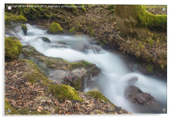 Babbling Brook 5 Acrylic by Mark Bangert