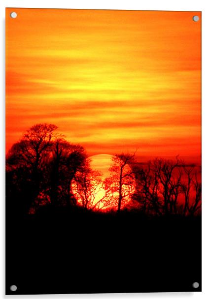 Burning Devon Sunset Acrylic by Mike Gorton