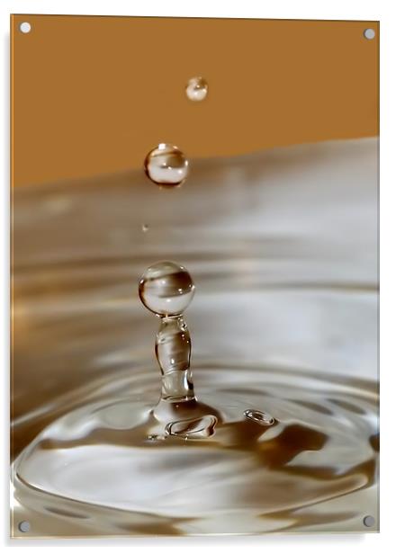 Water Droplet Macro Acrylic by Mike Gorton