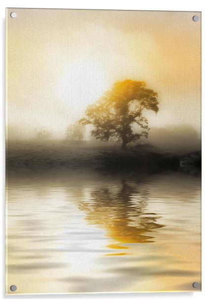 Soft Misty Morning Acrylic by Mike Gorton
