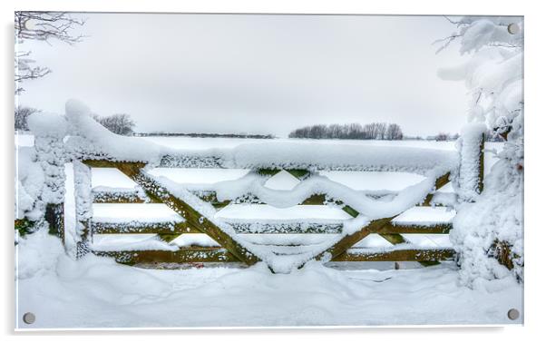 Snowy Gate Acrylic by Mike Gorton