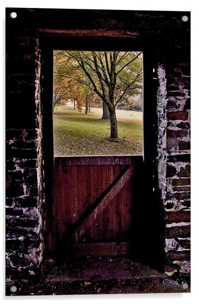 Autumn viewed from an open window Acrylic by Mike Gorton
