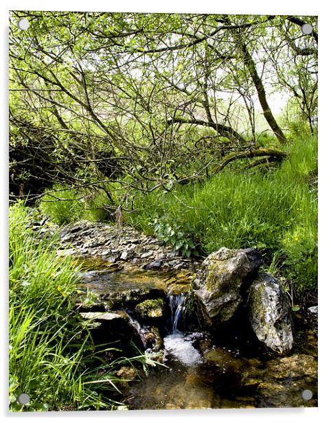 Exmoor Stream Acrylic by Mike Gorton
