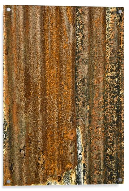 The Colour of Rust Acrylic by Mike Gorton