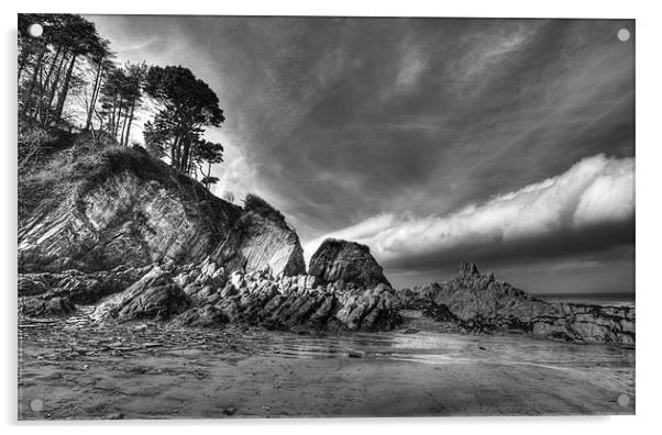 Lee Bay in Black and White Acrylic by Mike Gorton