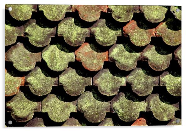  Tiles, Shadows and Lichen  Acrylic by Tim Bell