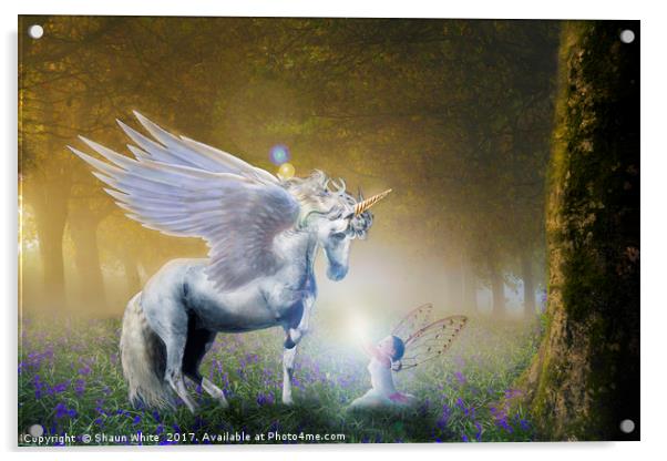 Bluebell Unicorn Acrylic by Shaun White