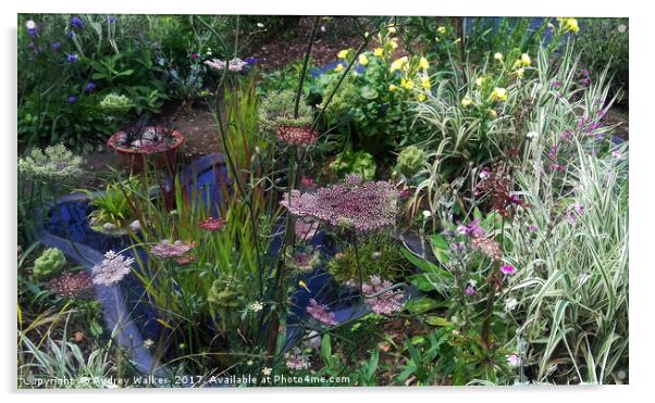 wildlife pond with ornamental plants Acrylic by Audrey Walker