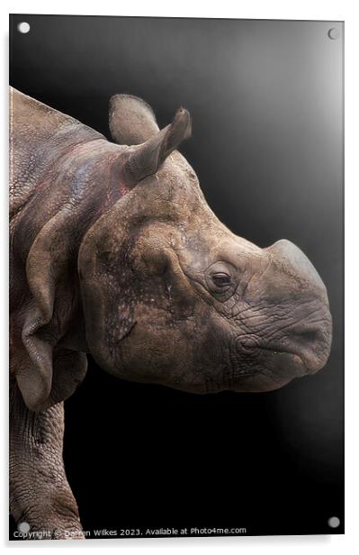 Majestic OneHorned Rhino Portrait Acrylic by Darren Wilkes