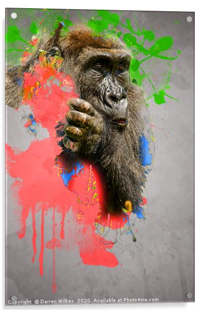 Lowland Gorilla Digital Art Acrylic by Darren Wilkes