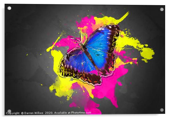 Blue Morpho Butterfly Art Acrylic by Darren Wilkes