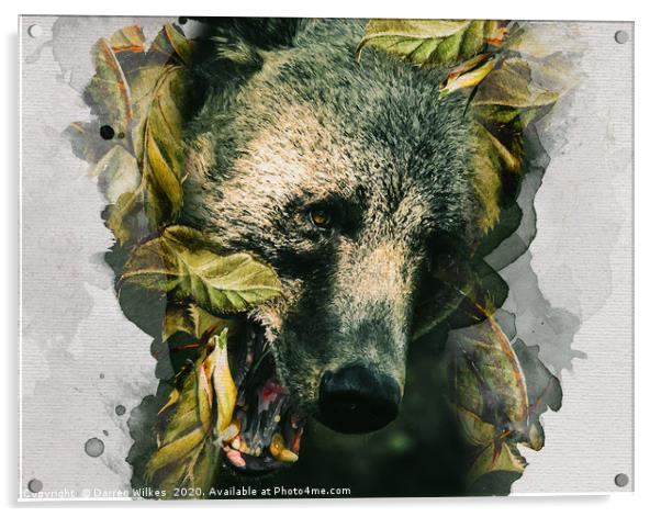 Bear Leaves Acrylic by Darren Wilkes