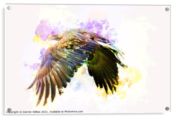 White Tailed Eagle Art Acrylic by Darren Wilkes