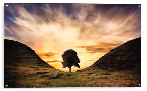 sunset behind the silhouette of Sycamore Gap Acrylic by Guido Parmiggiani