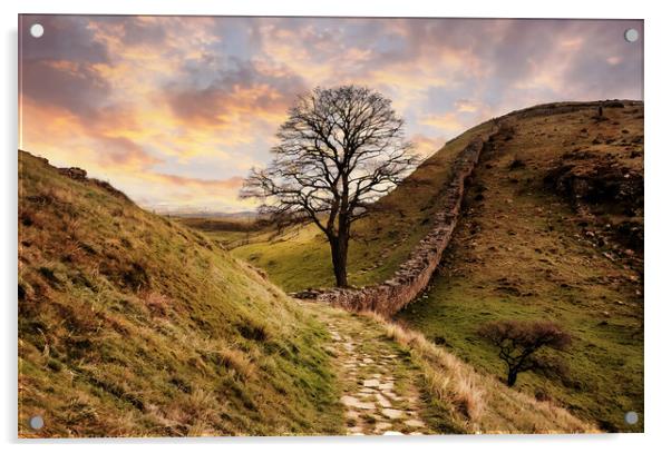 The famous sycamore gap at Hadrians wall Acrylic by Guido Parmiggiani
