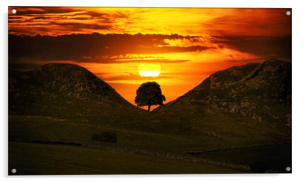 sunset behind the silhouette of Sycamore Gap Acrylic by Guido Parmiggiani