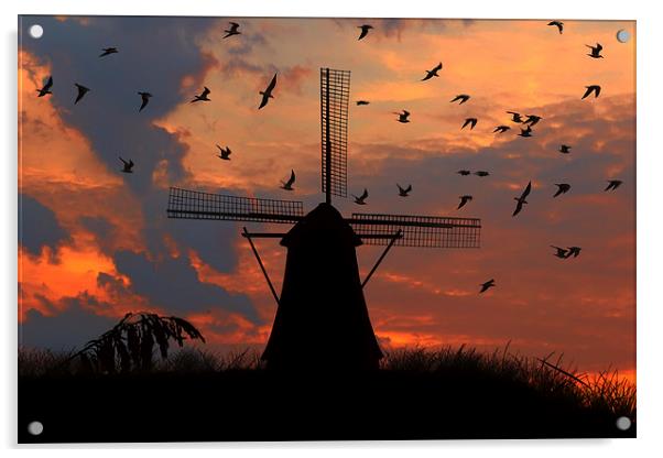  mill and gulls at sunset   Acrylic by Guido Parmiggiani