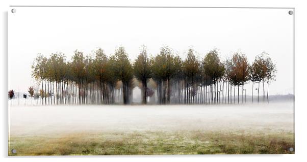 A foggy winter morning  Acrylic by Guido Parmiggiani